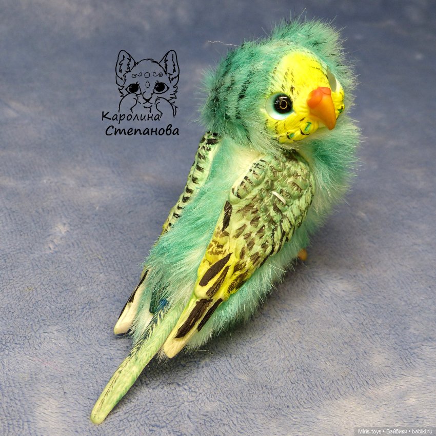 Волнистый попугайчик мятный - желтолиций (фото 3)