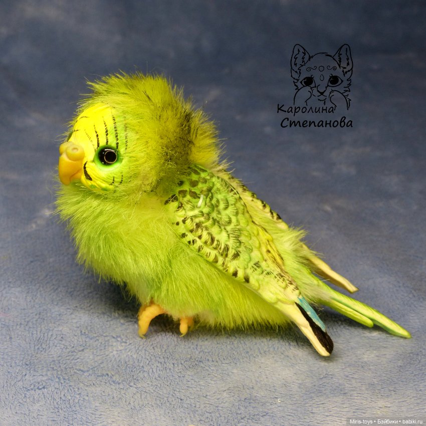 Волнистый попугайчик зеленый - желтолиций (фото 2)
