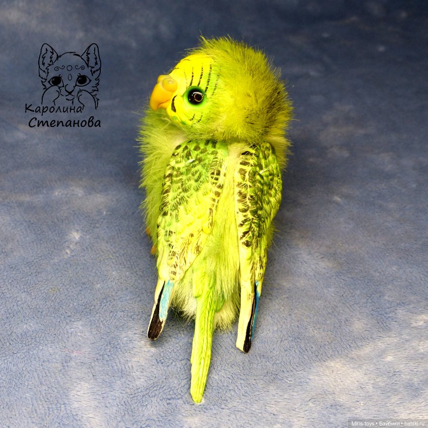 Волнистый попугайчик зеленый - желтолиций (фото 3)