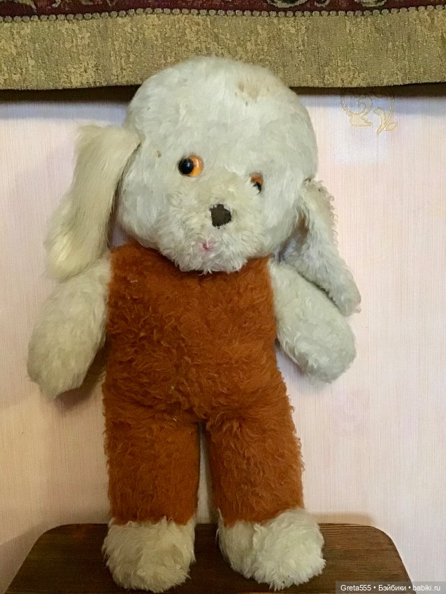 Большая грустная собака ГДР , очень ждёт своего хозяина