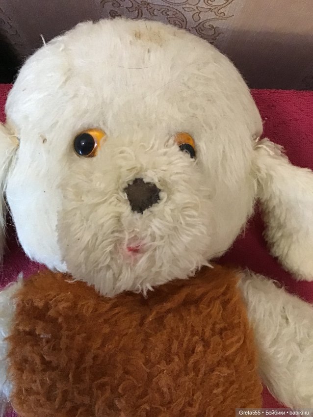 Большая грустная собака ГДР , очень ждёт своего хозяина (фото 6)