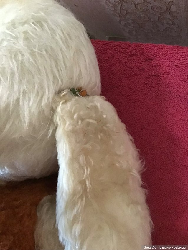 Большая грустная собака ГДР , очень ждёт своего хозяина (фото 4)