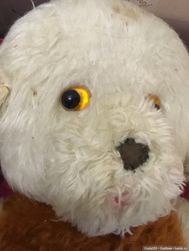 Большая грустная собака ГДР , очень ждёт своего хозяина (фото 5)