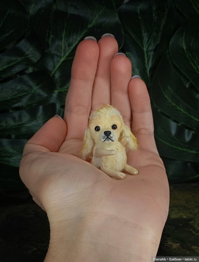 Американский кокер спаниэль (фото 3)