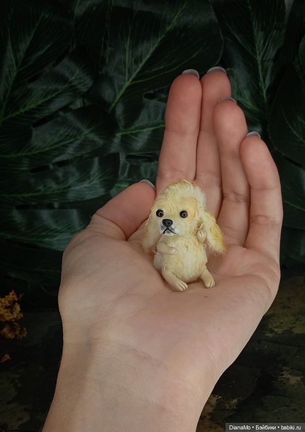 Американский кокер спаниэль (фото 4)