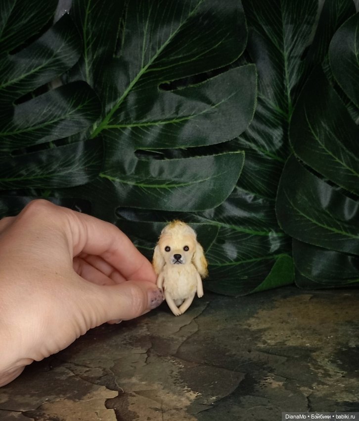 Американский кокер спаниэль (фото 6)