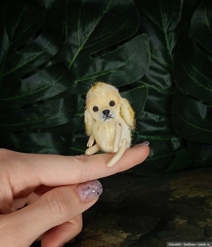 Американский кокер спаниэль (фото 5)