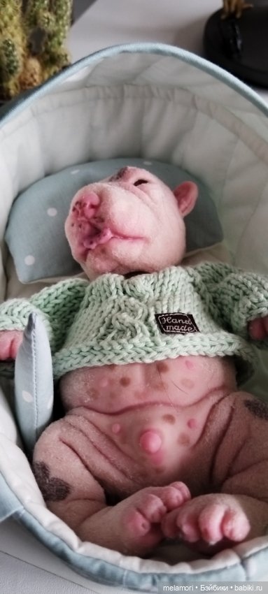 Переноска для малышей ростом до 20 см (фото 3)