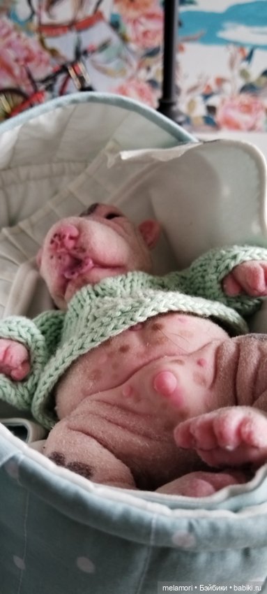 Переноска для малышей ростом до 20 см (фото 5)