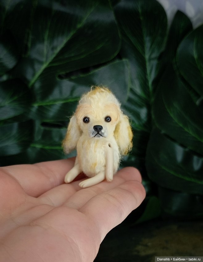 Американский кокер спаниэль