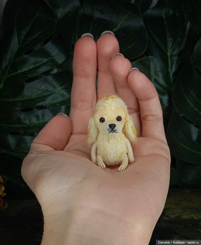 Американский кокер спаниэль (фото 2)