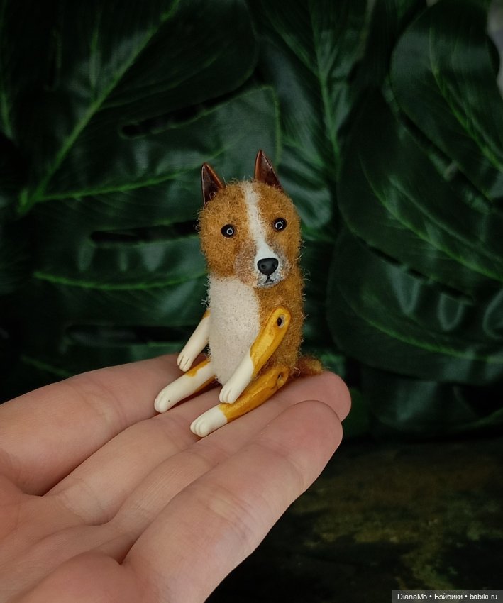 Американский стаффордширский терьер