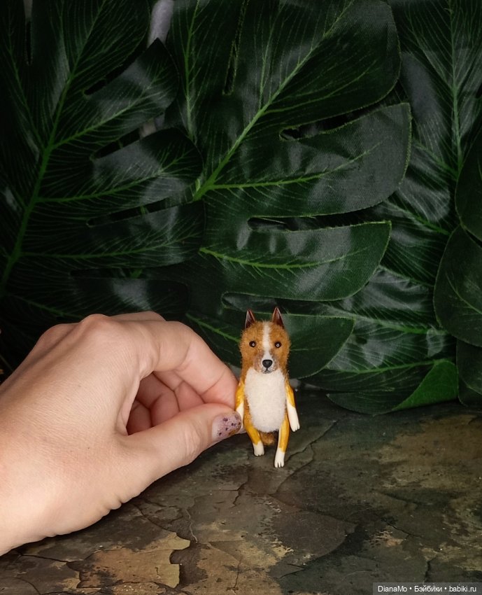 Американский стаффордширский терьер (фото 5)