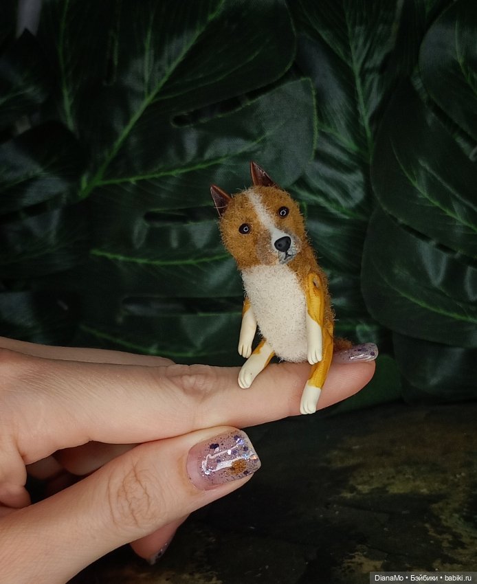 Американский стаффордширский терьер (фото 6)