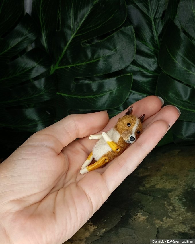 Американский стаффордширский терьер (фото 4)