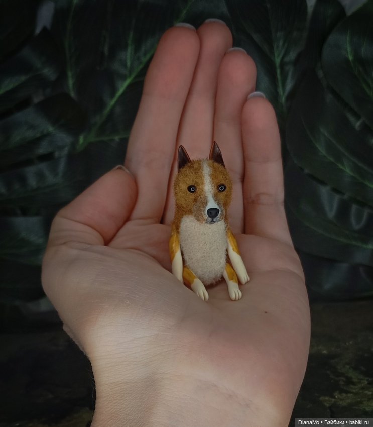 Американский стаффордширский терьер (фото 2)