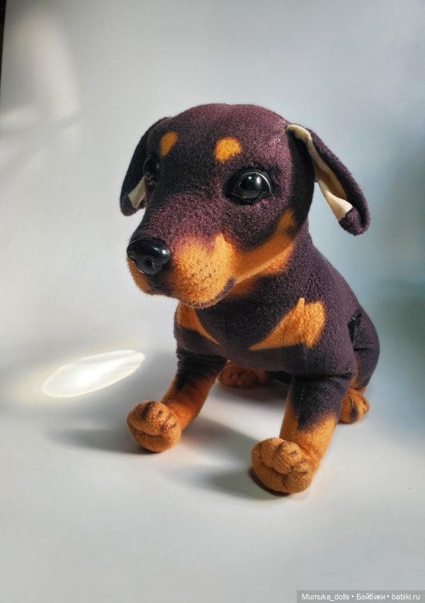 Бездомный пёсель ищет дом (фото 4)