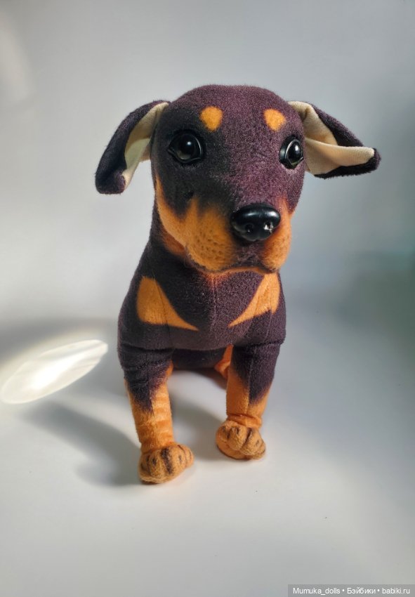 Бездомный пёсель ищет дом (фото 3)