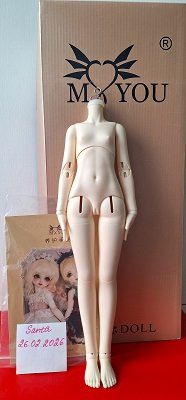 Тело MYOU Doll — Части кукол BJD (фото 5)