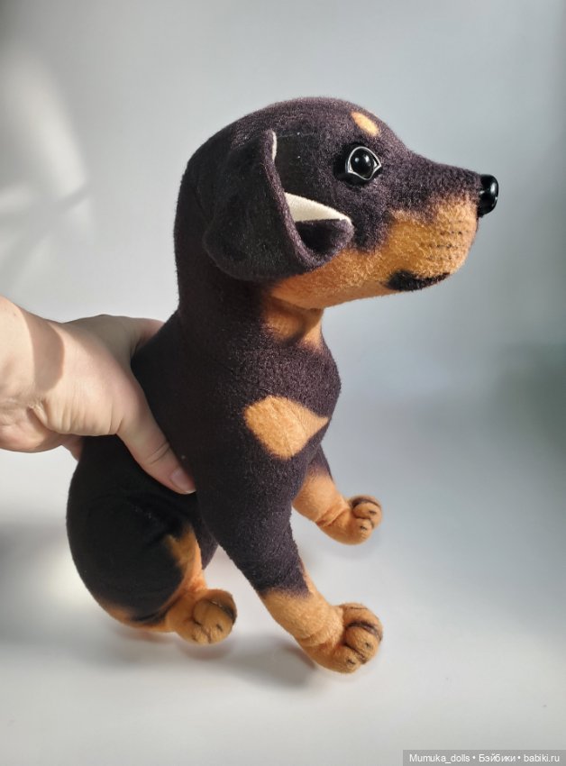 Бездомный пёсель ищет дом (фото 2)