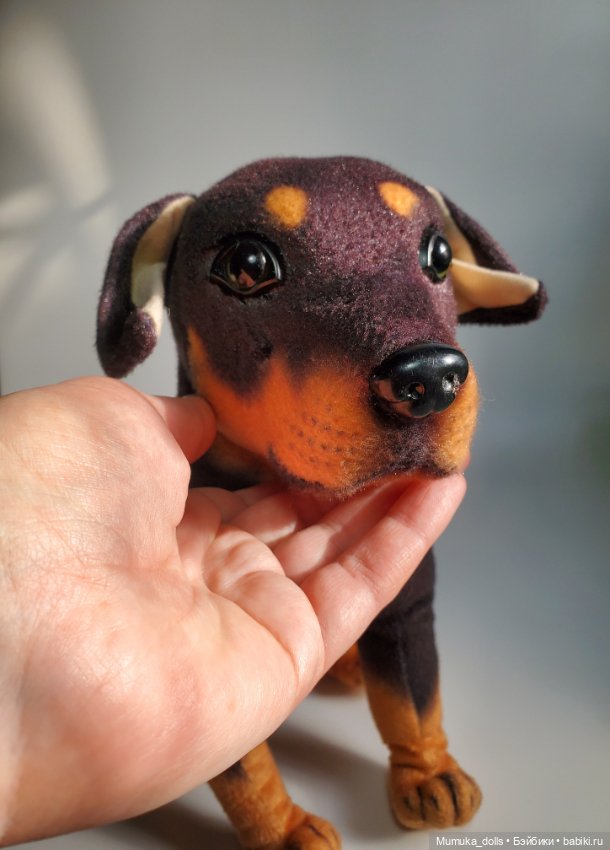 Бездомный пёсель ищет дом