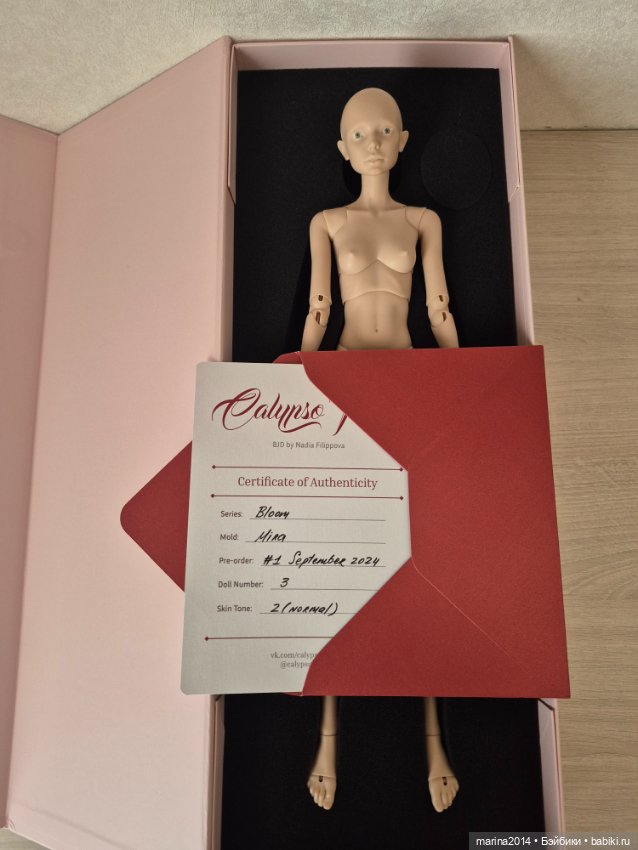 Calypso Tales — Авторские куклы BJD (фото 4)