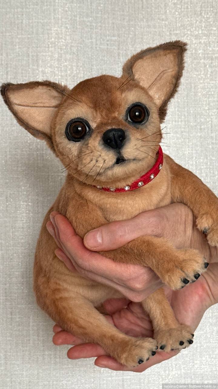 Чишка 🐕🐾🐶 — Авторские игрушки (фото 3)