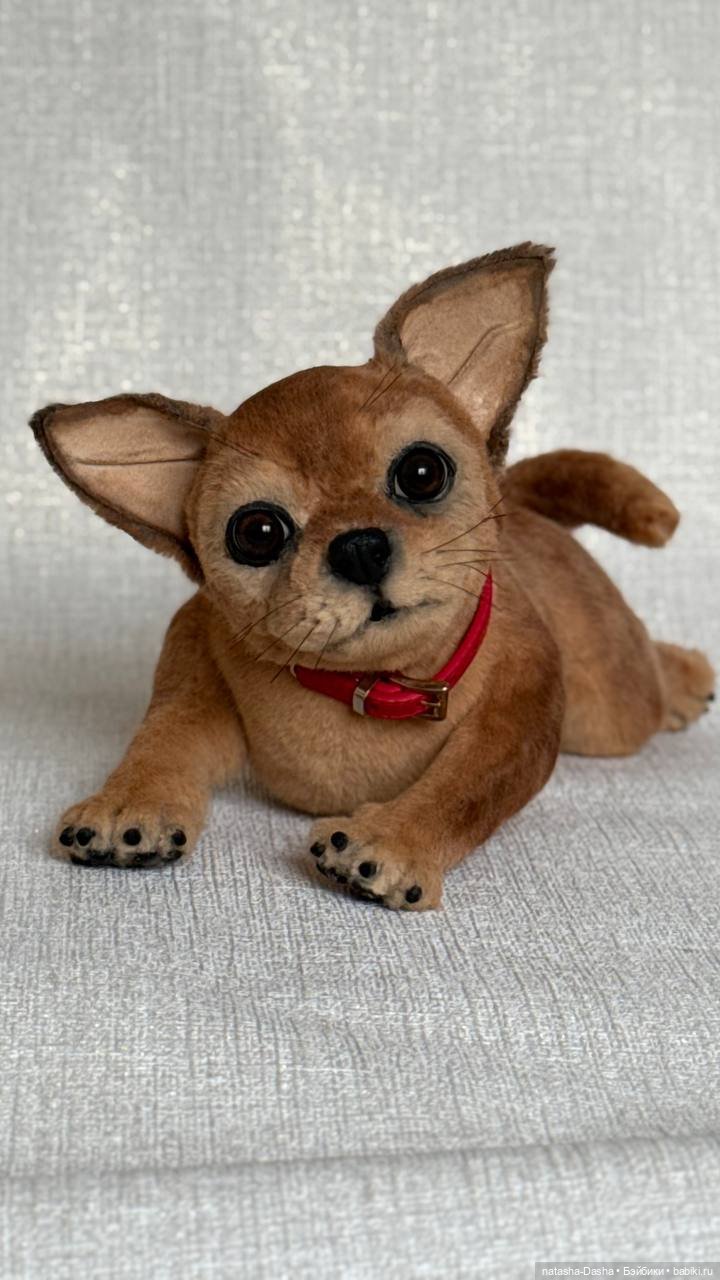 Чишка 🐕🐾🐶 — Авторские игрушки (фото 5)
