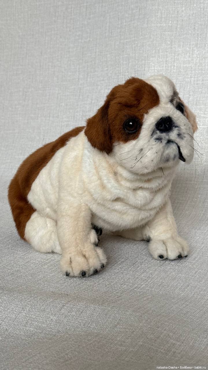 Бульдожка 🐶🐾🐕 — Авторские игрушки (фото 3)