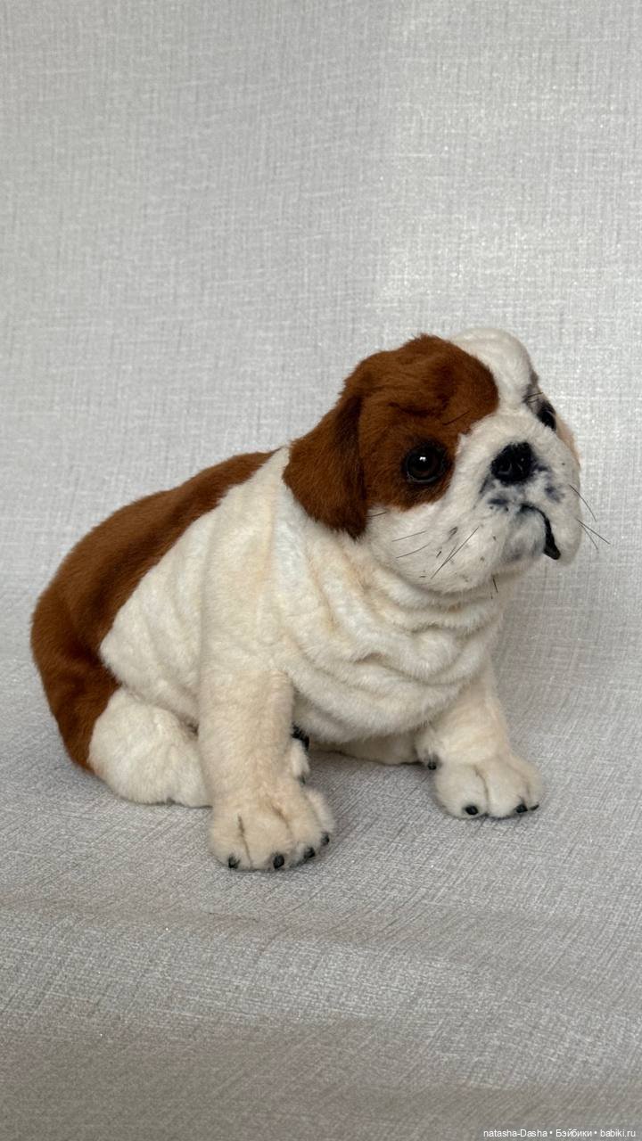 Бульдожка 🐶🐾🐕 — Авторские игрушки (фото 2)