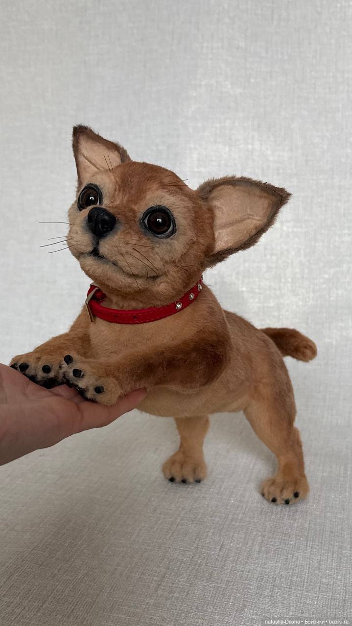 Чишка 🐕🐾🐶 — Авторские игрушки (фото 2)