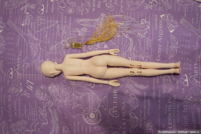 Ringdoll Miu — Куклы BJD (фото 6)