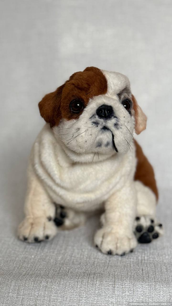 Бульдожка 🐶🐾🐕 — Авторские игрушки (фото 4)