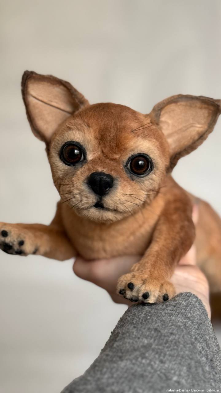 Чишка 🐕🐾🐶 — Авторские игрушки (фото 6)