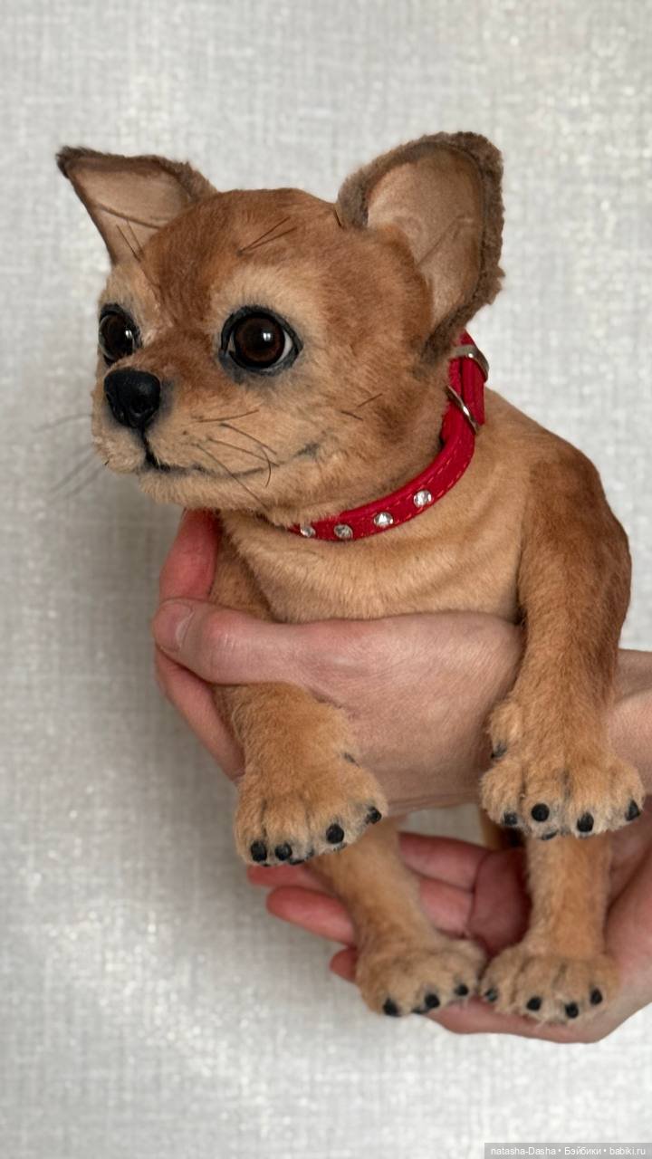 Чишка 🐕🐾🐶 — Авторские игрушки (фото 7)