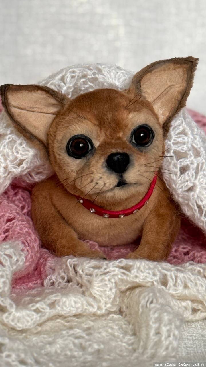 Чишка 🐕🐾🐶 — Авторские игрушки (фото 4)
