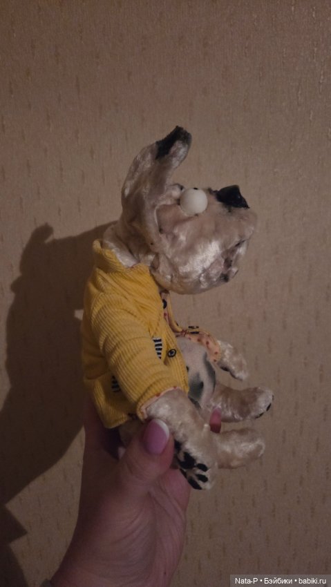 Продам автороского бульдога (фото 3)