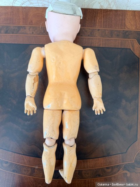 Кестнер закрыторотая редкого молда VIII (фото 7)