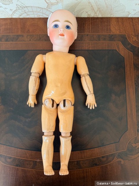 Кестнер закрыторотая редкого молда VIII (фото 8)