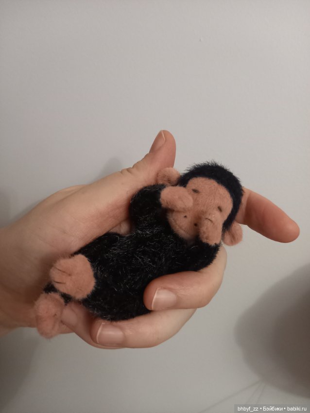 Маленькая ручная обезьянка (фото 4)