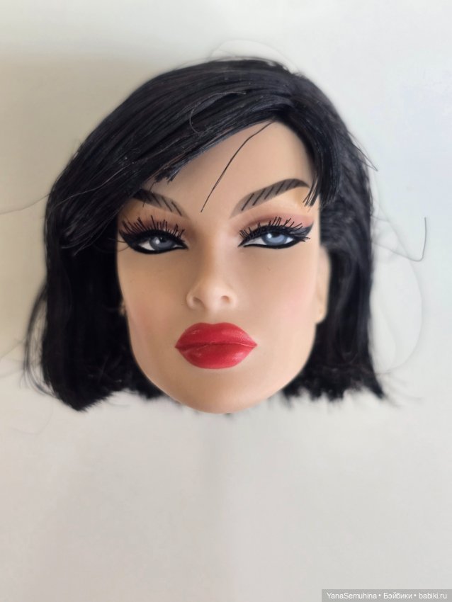 Голова dania zarr integrity