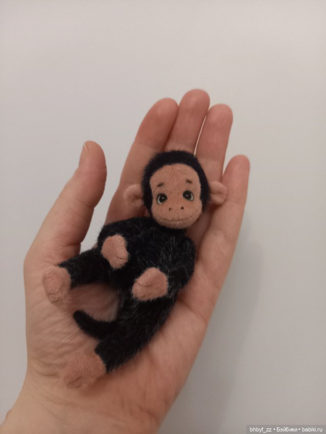 Маленькая ручная обезьянка (фото 7)