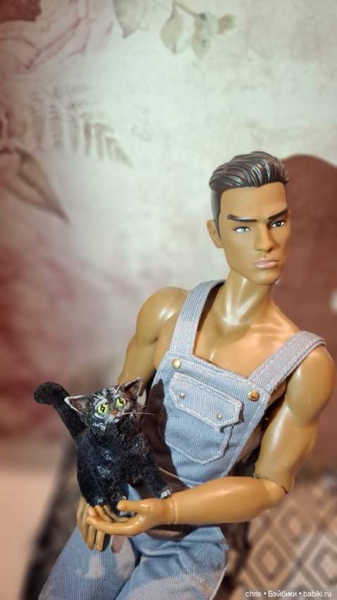 Китайский шарнирный парень (псевдо Адонис) (фото 2)