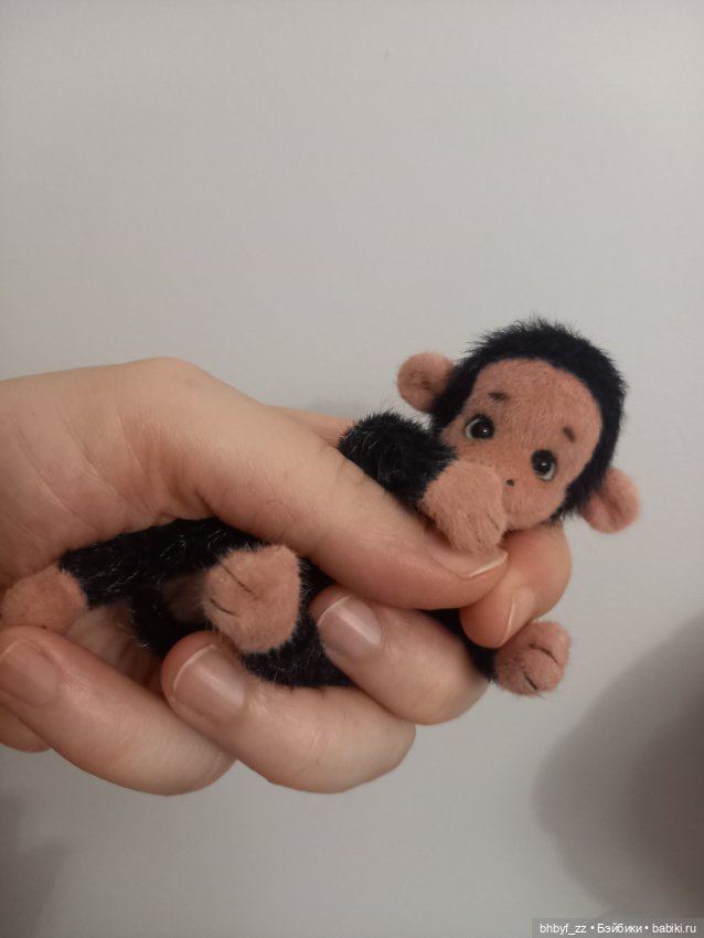 Маленькая ручная обезьянка (фото 5)