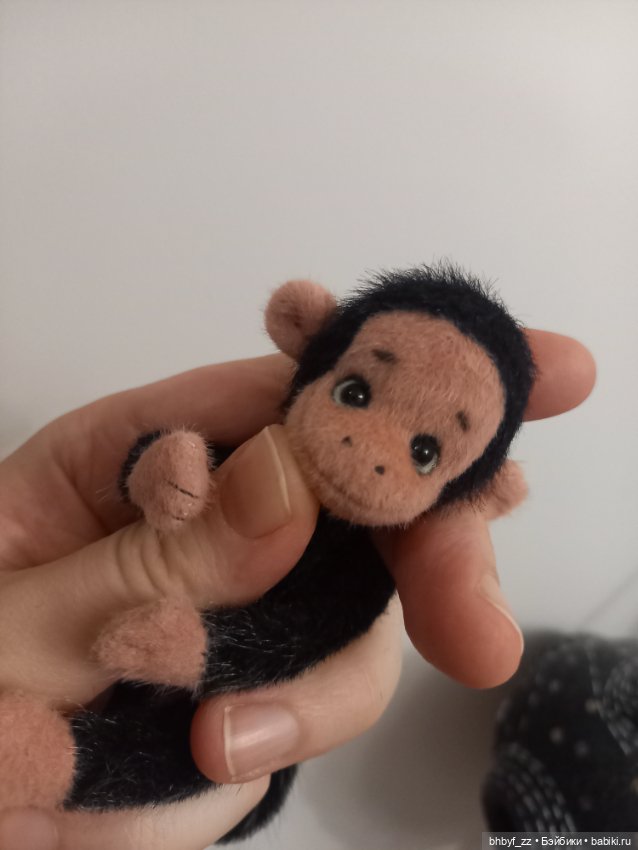 Маленькая ручная обезьянка (фото 6)