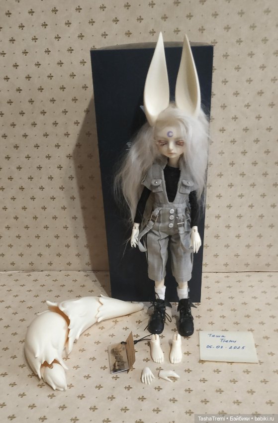 Dream Valley 1/6 wolf boy Glen (фото 2)