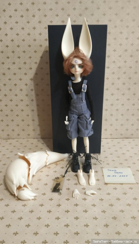 Dream Valley 1/6 wolf boy Aiden (фото 3)