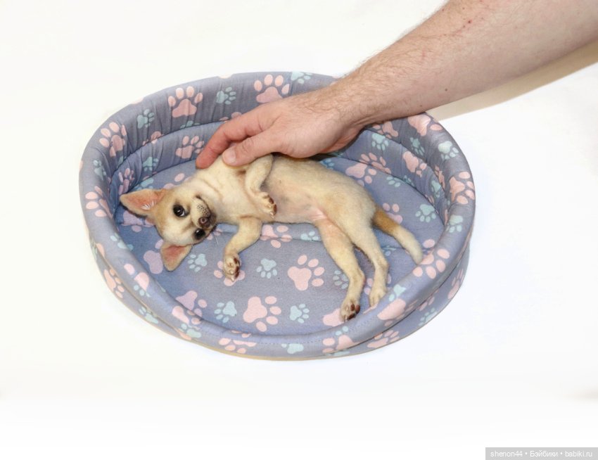 Чихуахуа — Авторские игрушки