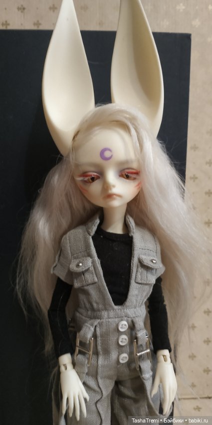 Dream Valley 1/6 wolf boy Glen (фото 3)