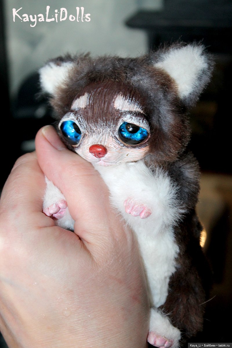 Чихуашка Чуня — Авторские игрушки (фото 4)